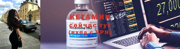 прущие грибы Вяземский