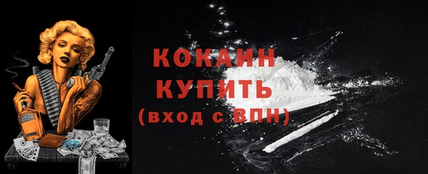 прущие грибы Вяземский