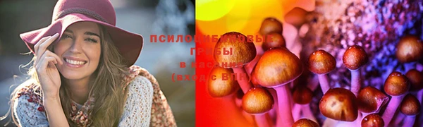 прущие грибы Вяземский