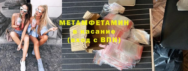 прущие грибы Вяземский