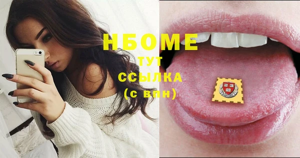 прущие грибы Вяземский