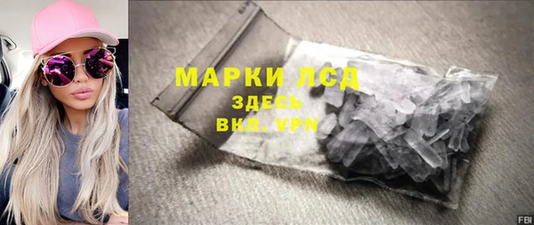 прущие грибы Вяземский
