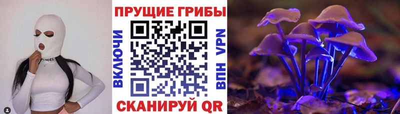 Псилоцибиновые грибы Magic Shrooms  Омутнинск 